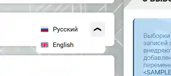 Выпадающее меню с локализациями выборки записей в CMS «ГИРВАС» в верхней части инструментария