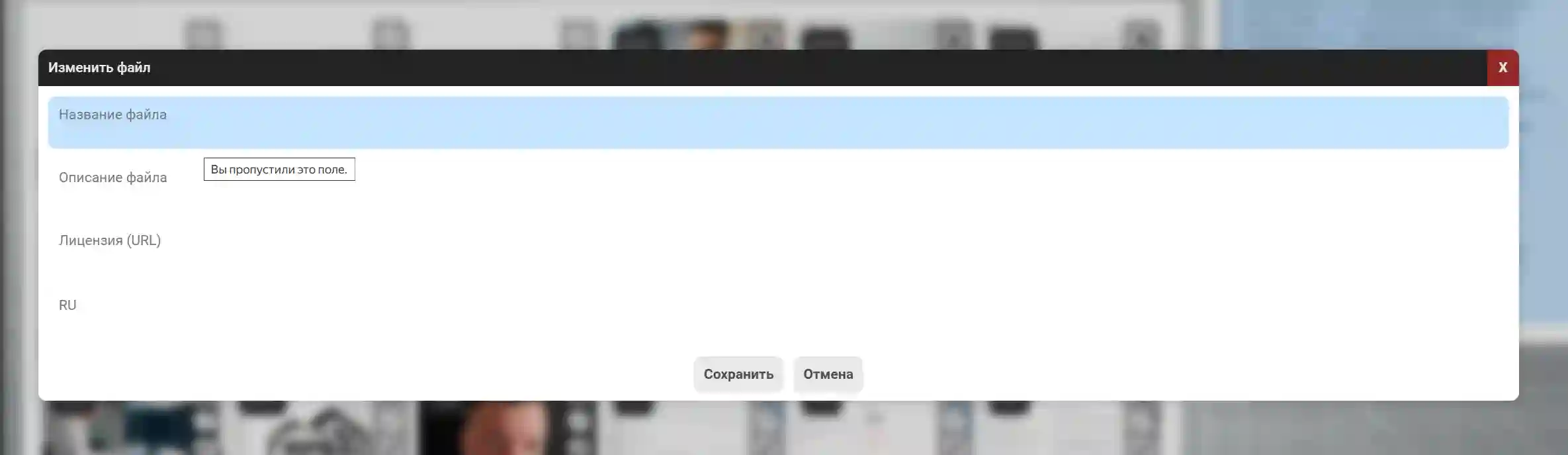 Модальное окно с формой для заполнения мета-данных файла административную панель CMS &laquo;ГИРВАС&raquo;
