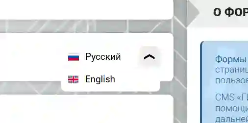 Выпадающее меню с локализациями формы в CMS «ГИРВАС» в верхней части инструментария